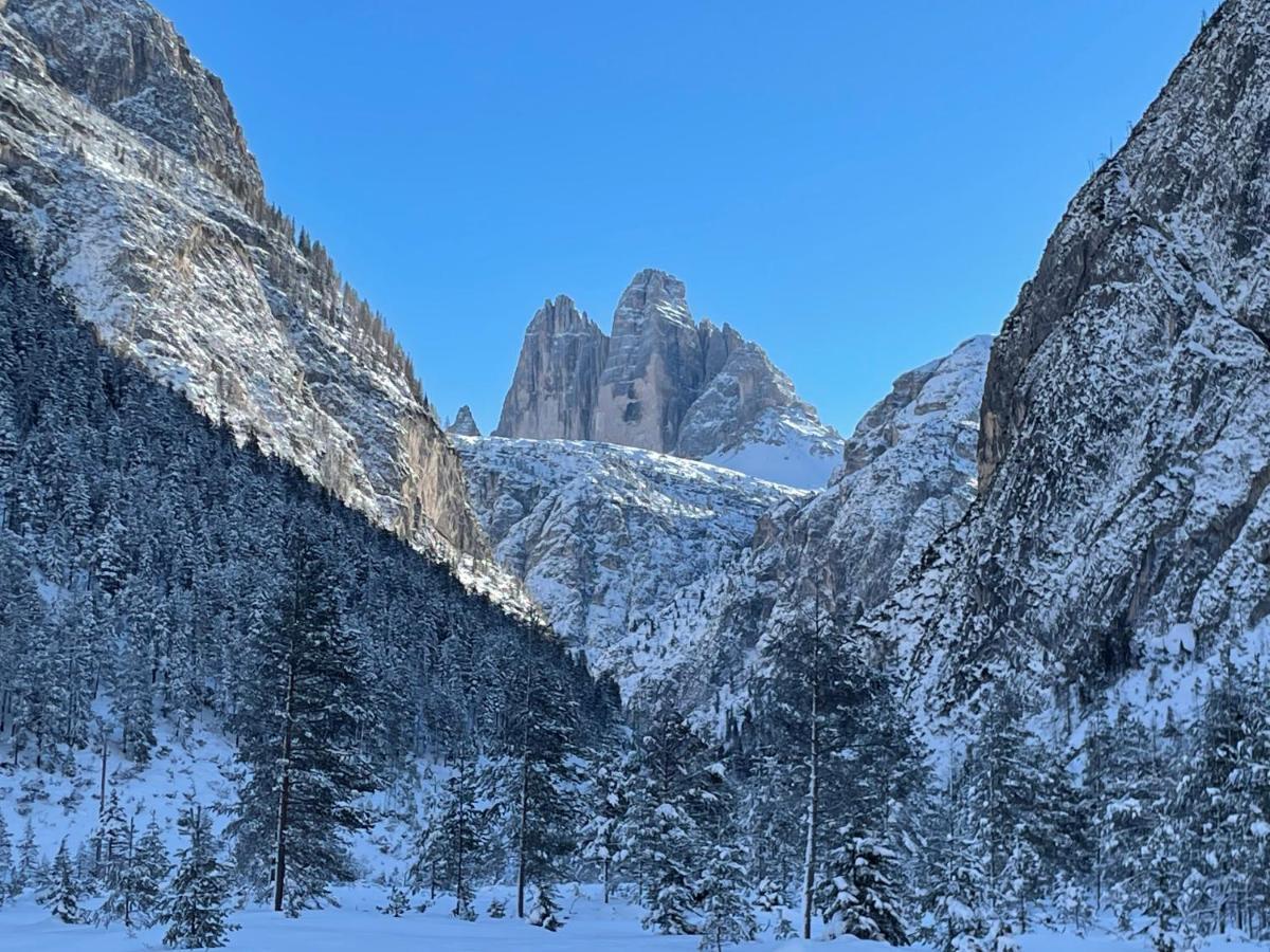 Villa Maria Dolomites Vintage Home Брунико Экстерьер фото